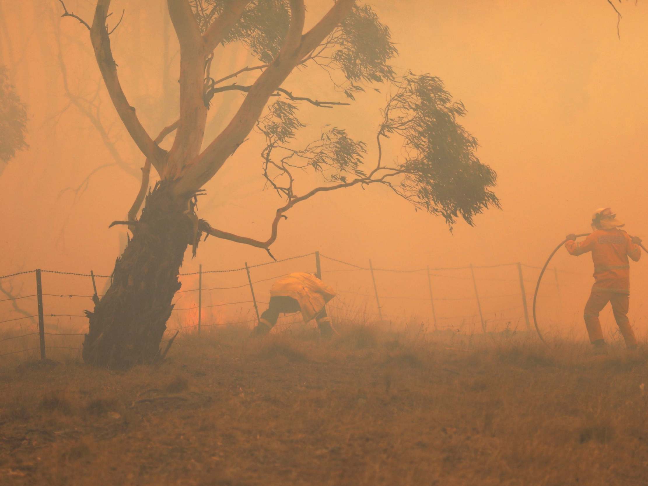 Firefighters work to extinguish a fire that crossed the Monaro Highway north of Bredbo, New South Wales