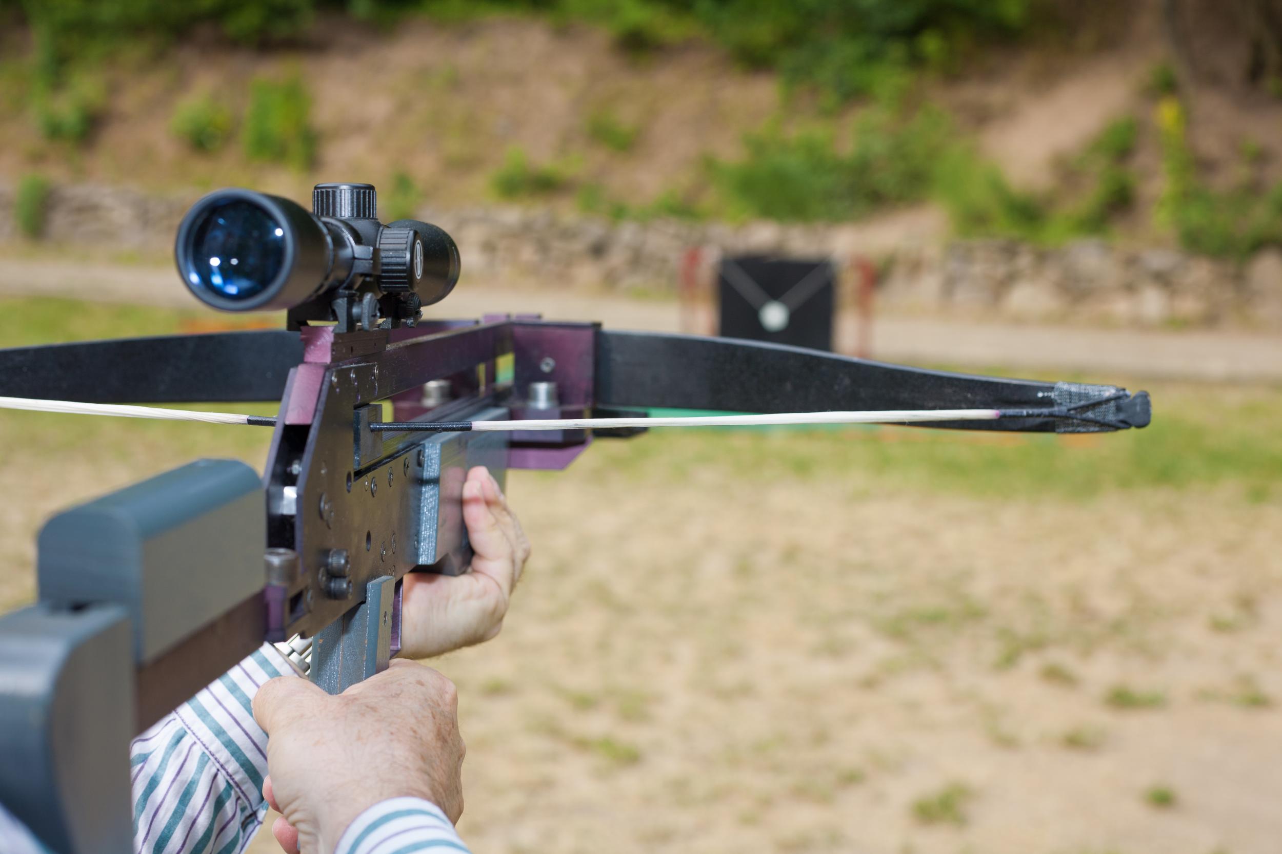 Nuke the cat was shot with a crossbow bolt (pictured: stock image of a crossbow)