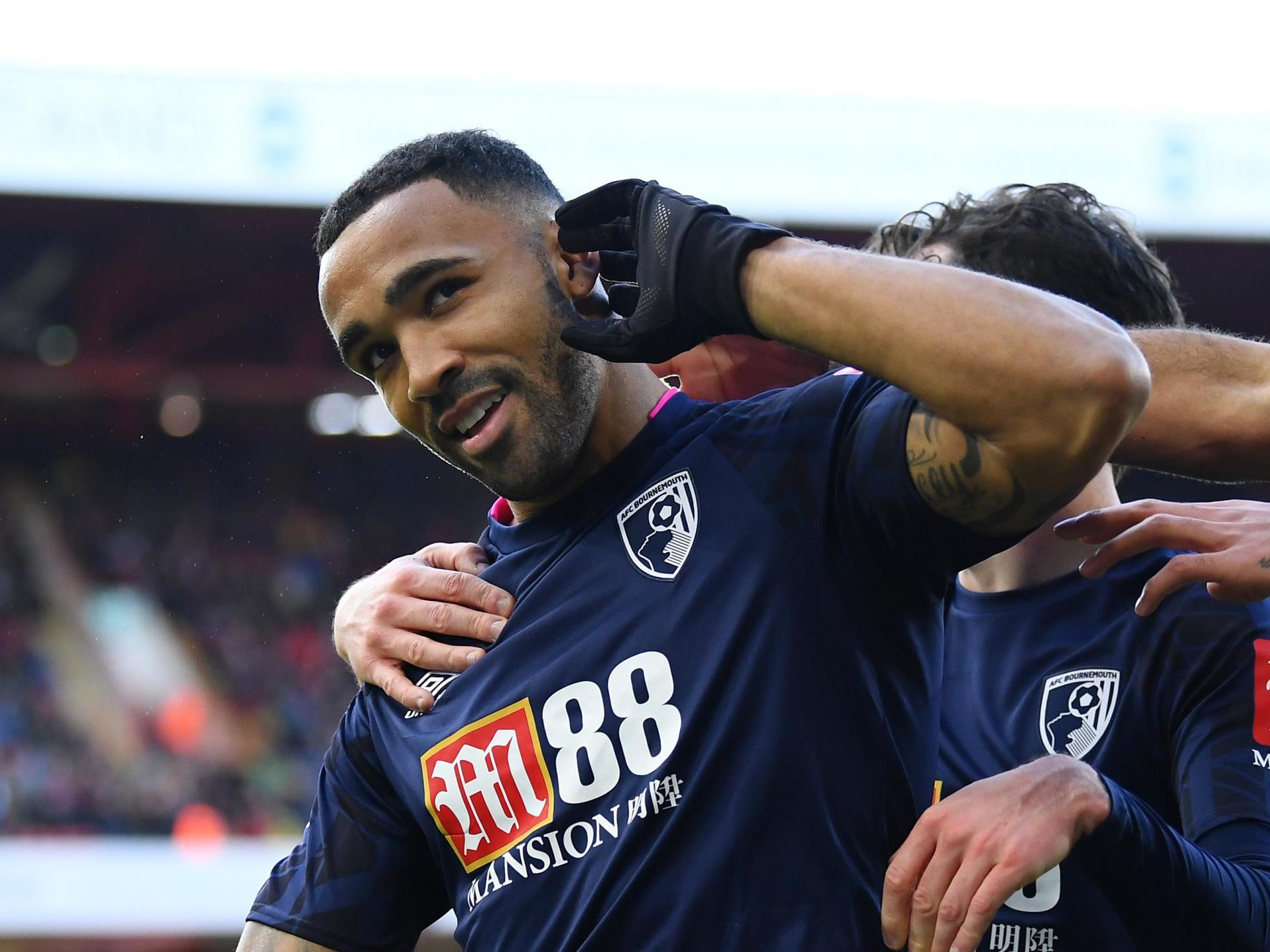 Callum Wilson celebrates his opener for Bournemouth