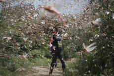 Warming to boost weather event linked to locust swarms and bushfires