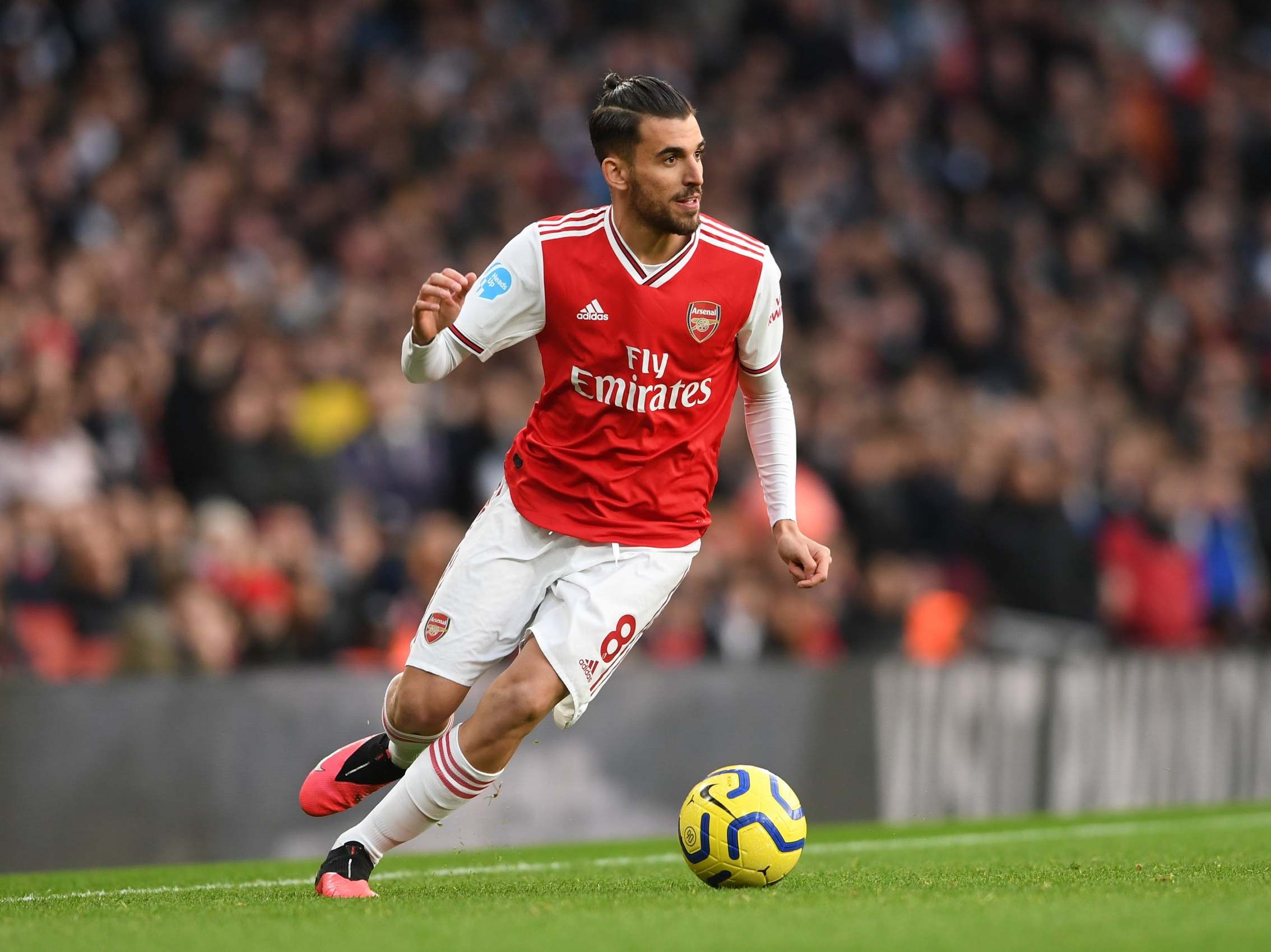 Dani Ceballos has impressed for Arsenal