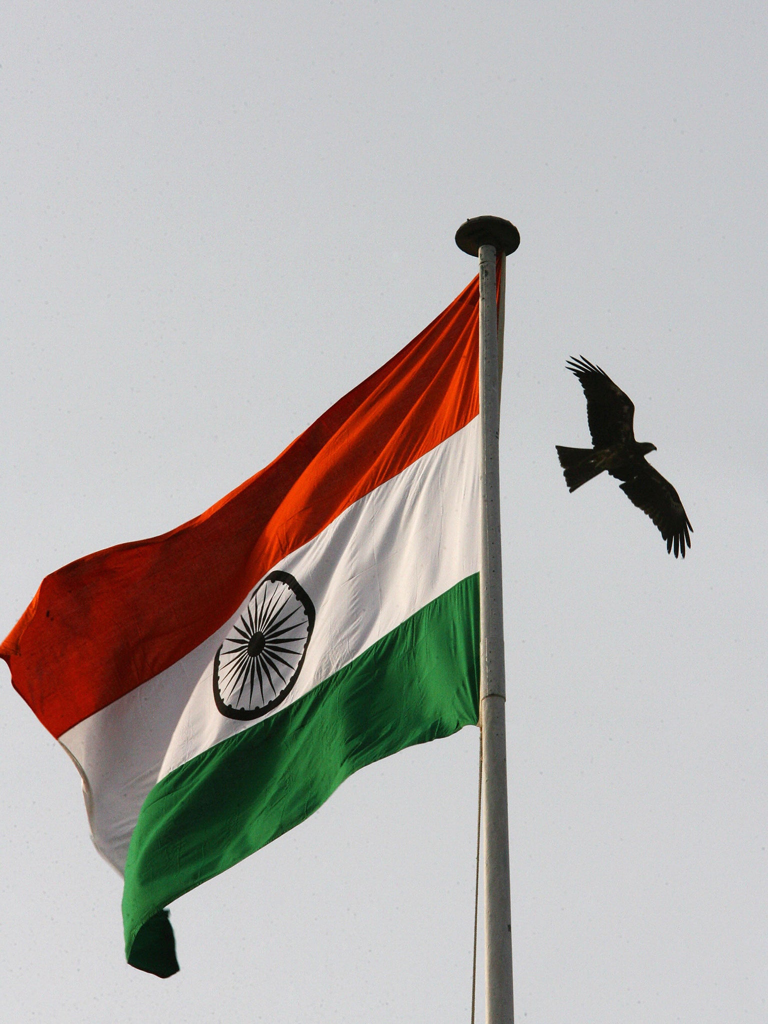 A black kite flies past the Indian flag in New Delhi (AFP/Getty)