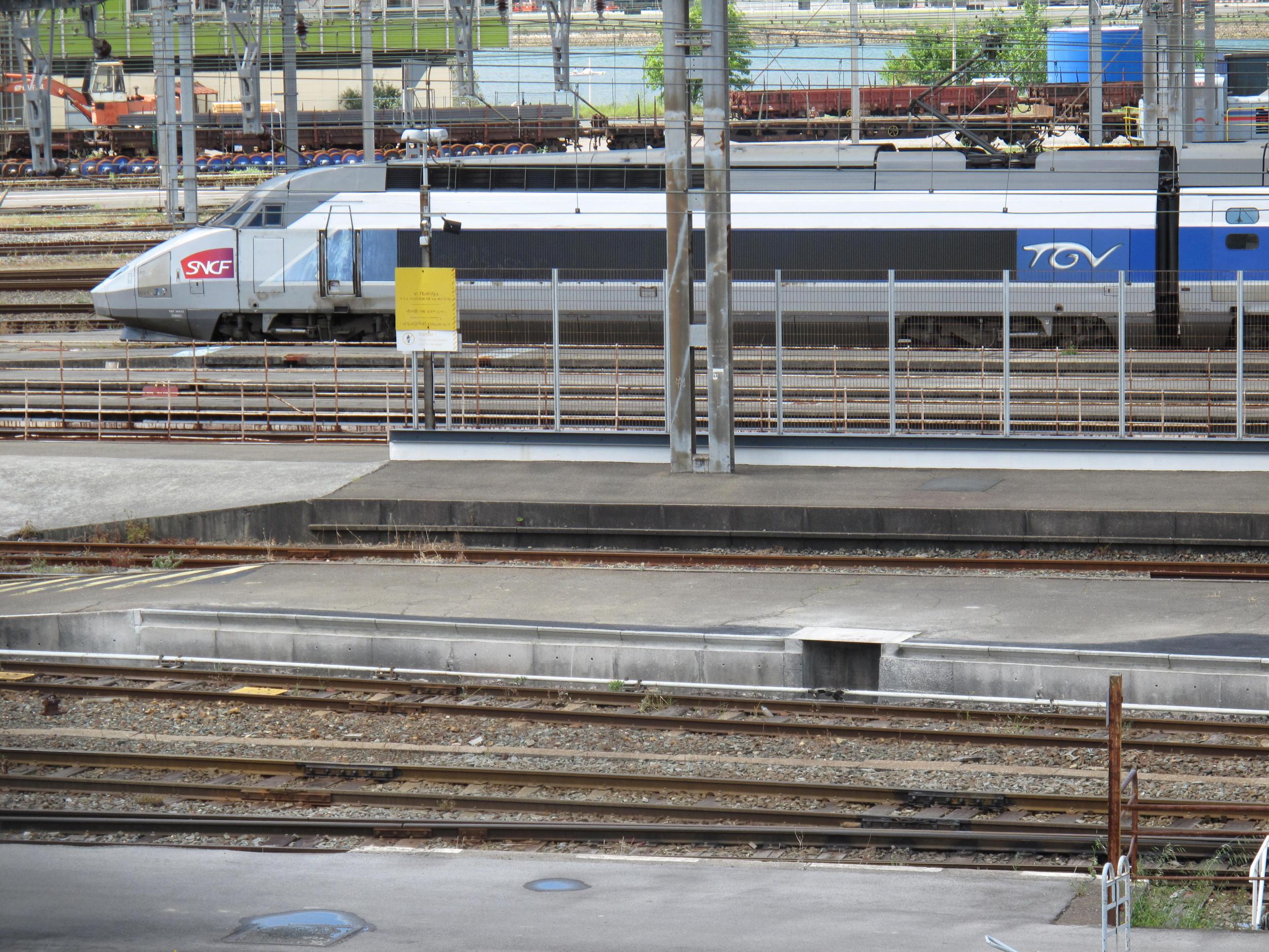 Man was forcibly removed from a TGV service