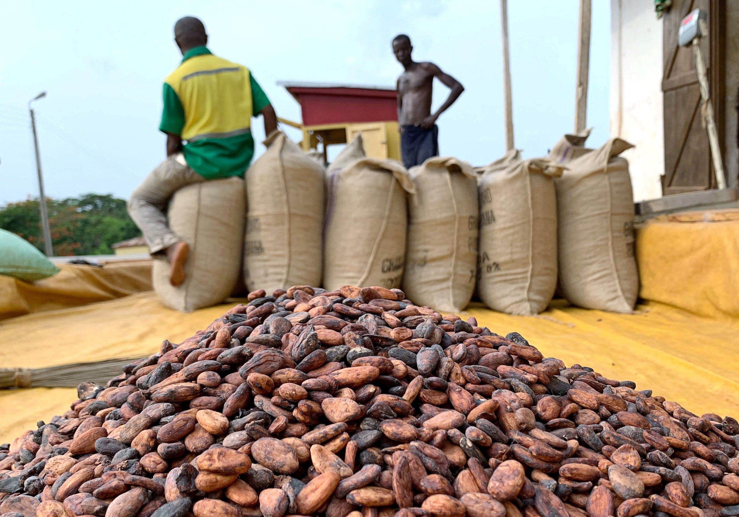 Cocoa beans are pictured next to a warehouse at the village of Atroni, near Sunyani, Ghana