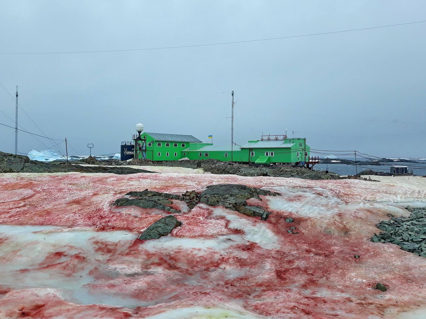 The natural phenomenon was photographed at the Vernadsky Research Base