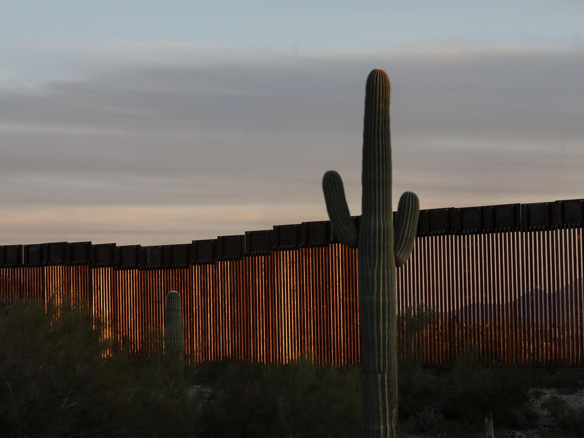 The Trump administration erected a 30-foot border wall across the sensitive habitat of Arizona’s Organ Pipe Cactus National Monument in 2020 (pictured), doubling the height of a previous border fence