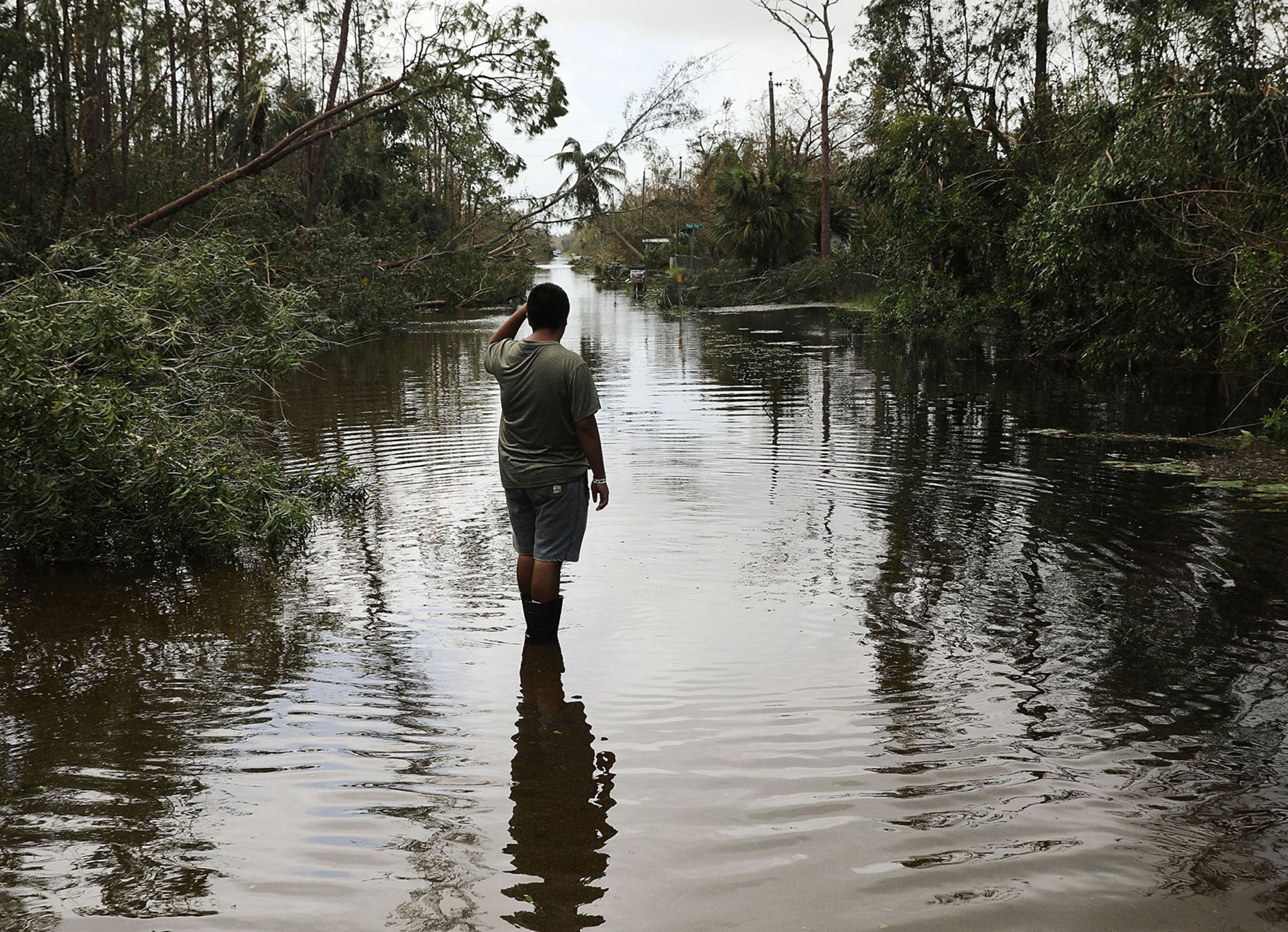 Wetlands are sometimes described as the 'planet’s kidneys'