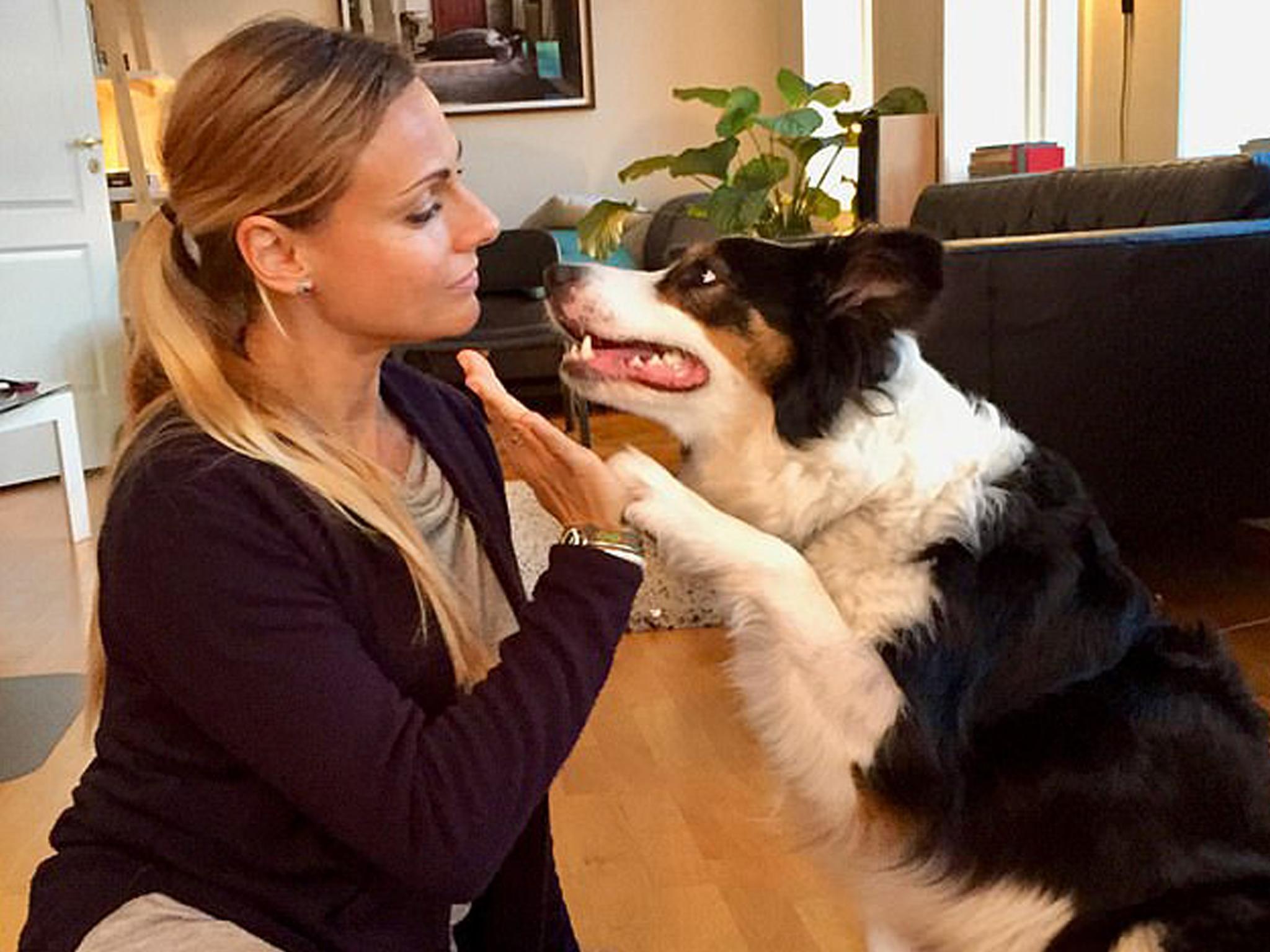 Researcher Fugazza drew similarities between how dogs and human children learn