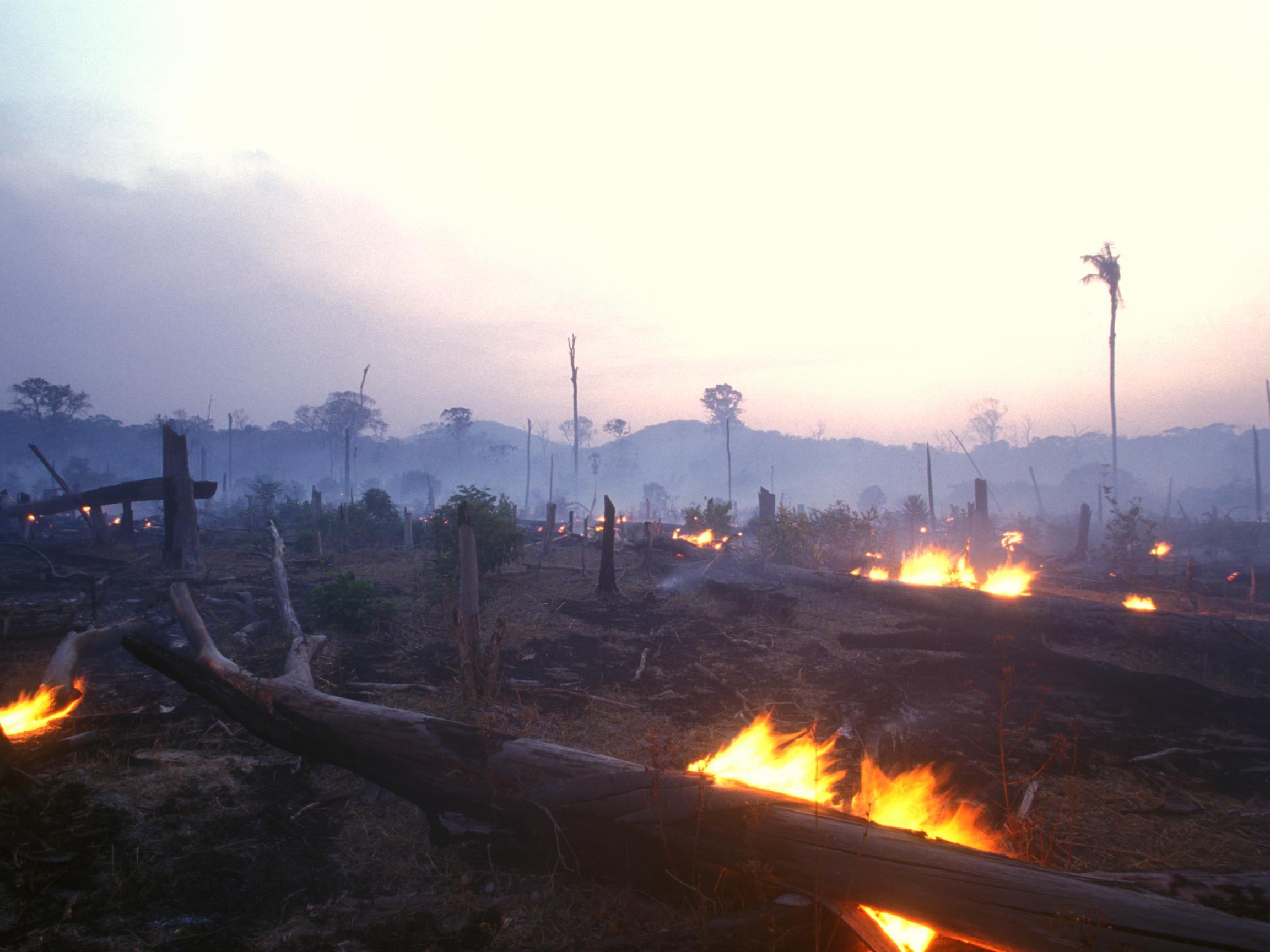 The Amazon rainforest may soon contribute more carbon than it pulls out of the atmosphere unless deforestation and greenhouse gas emissions are significantly reduced, scientists warn