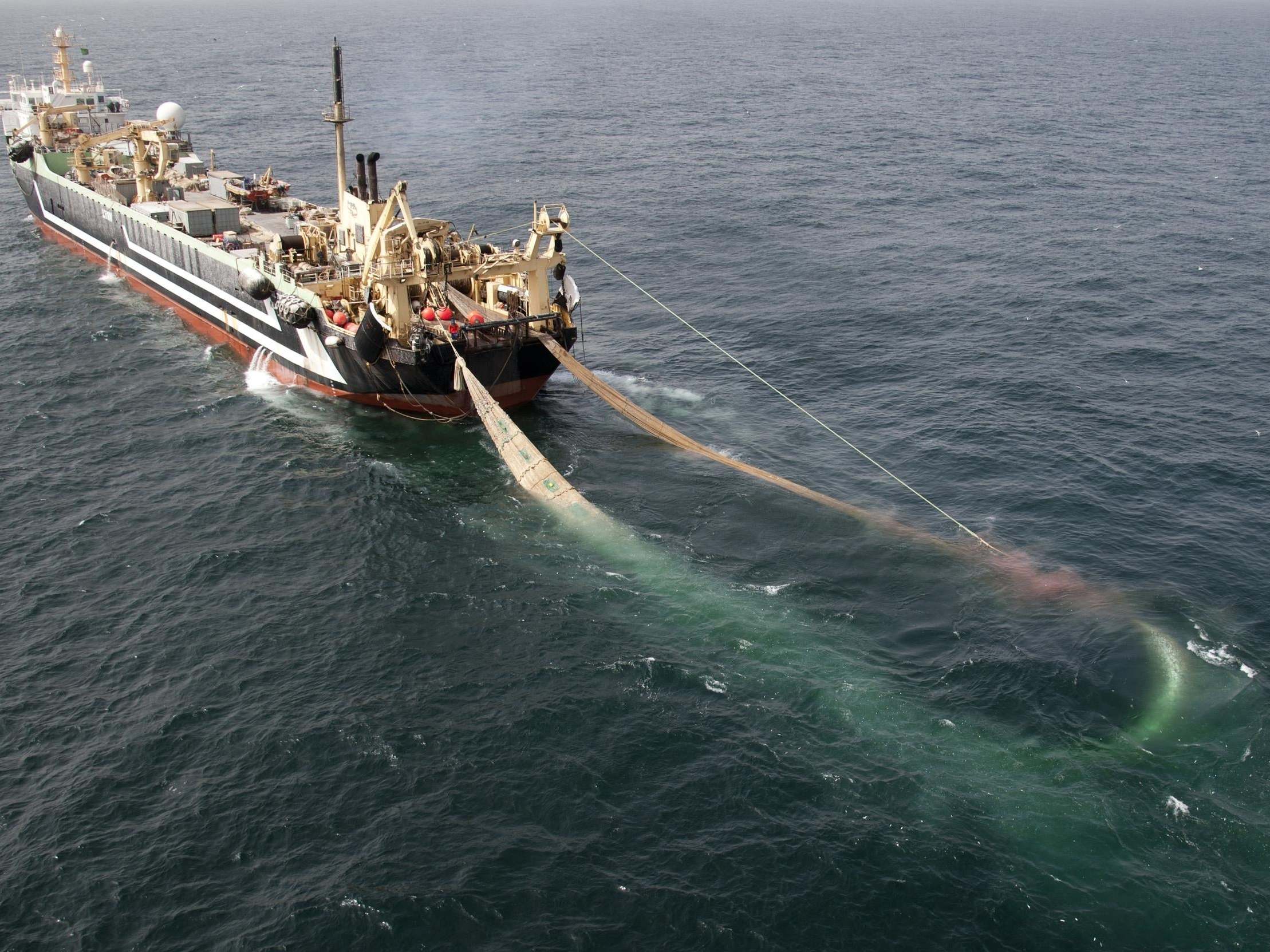 The world's second largest factory fishing trawler, the Lithuanian FV Margiris