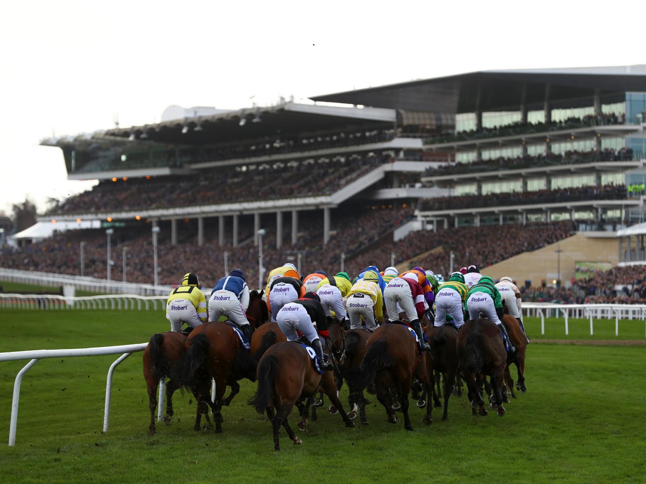Cheltenham is planning to host the Festival as planned