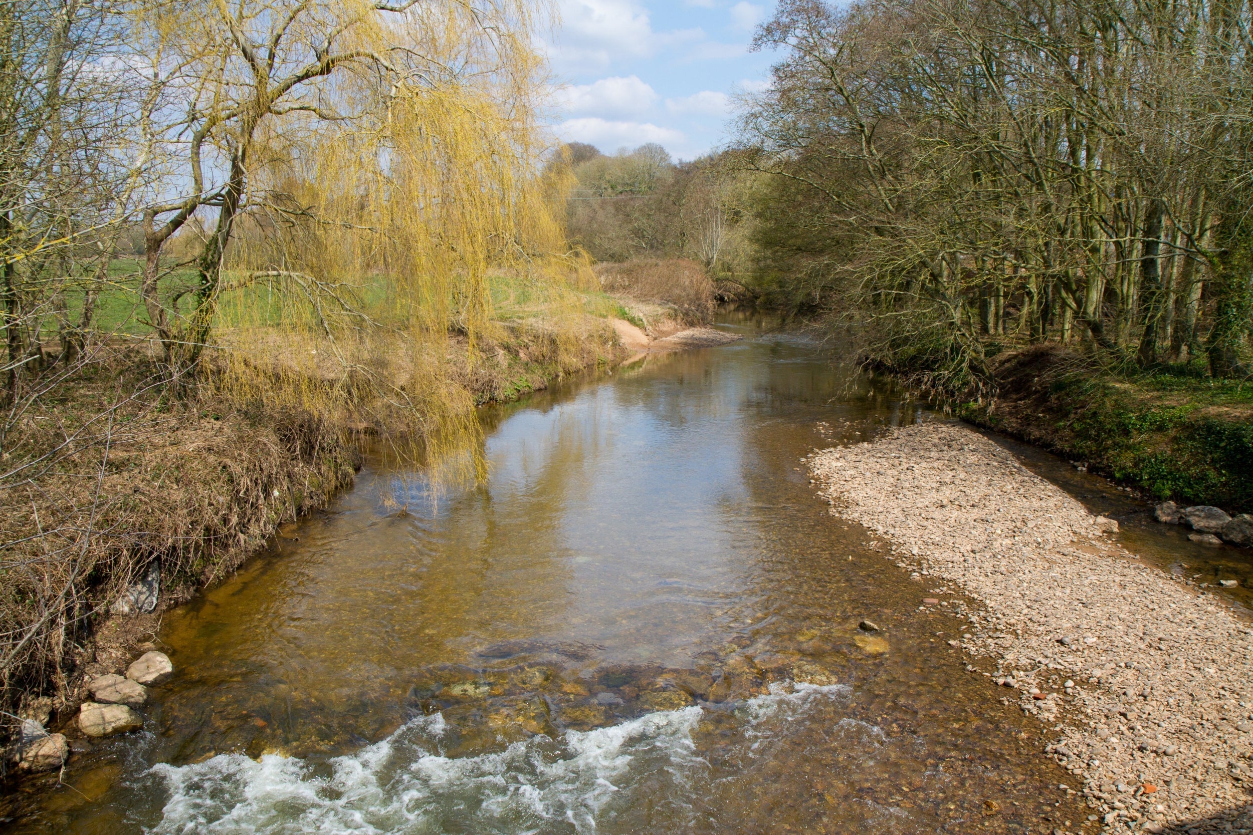 The East Budleigh area of the River Otter is prone to flooding