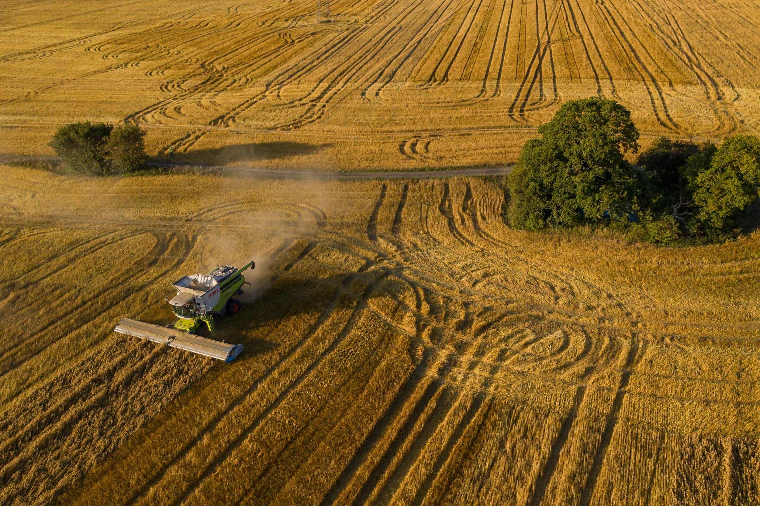 While rewilding is often seen as an affront to traditional farming and land usage, most researchers believe they could have a symbiotic relationship post-Brexit