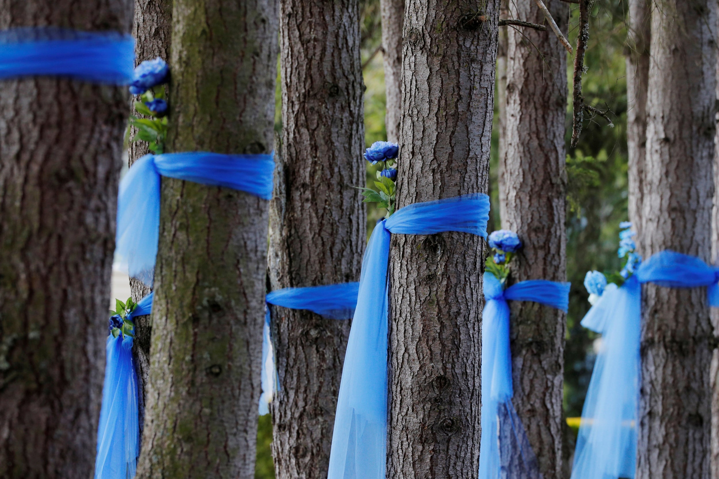 Spring has arrived in Seattle, even as we mourn what coronavirus has taken – and is continuing to take – from us