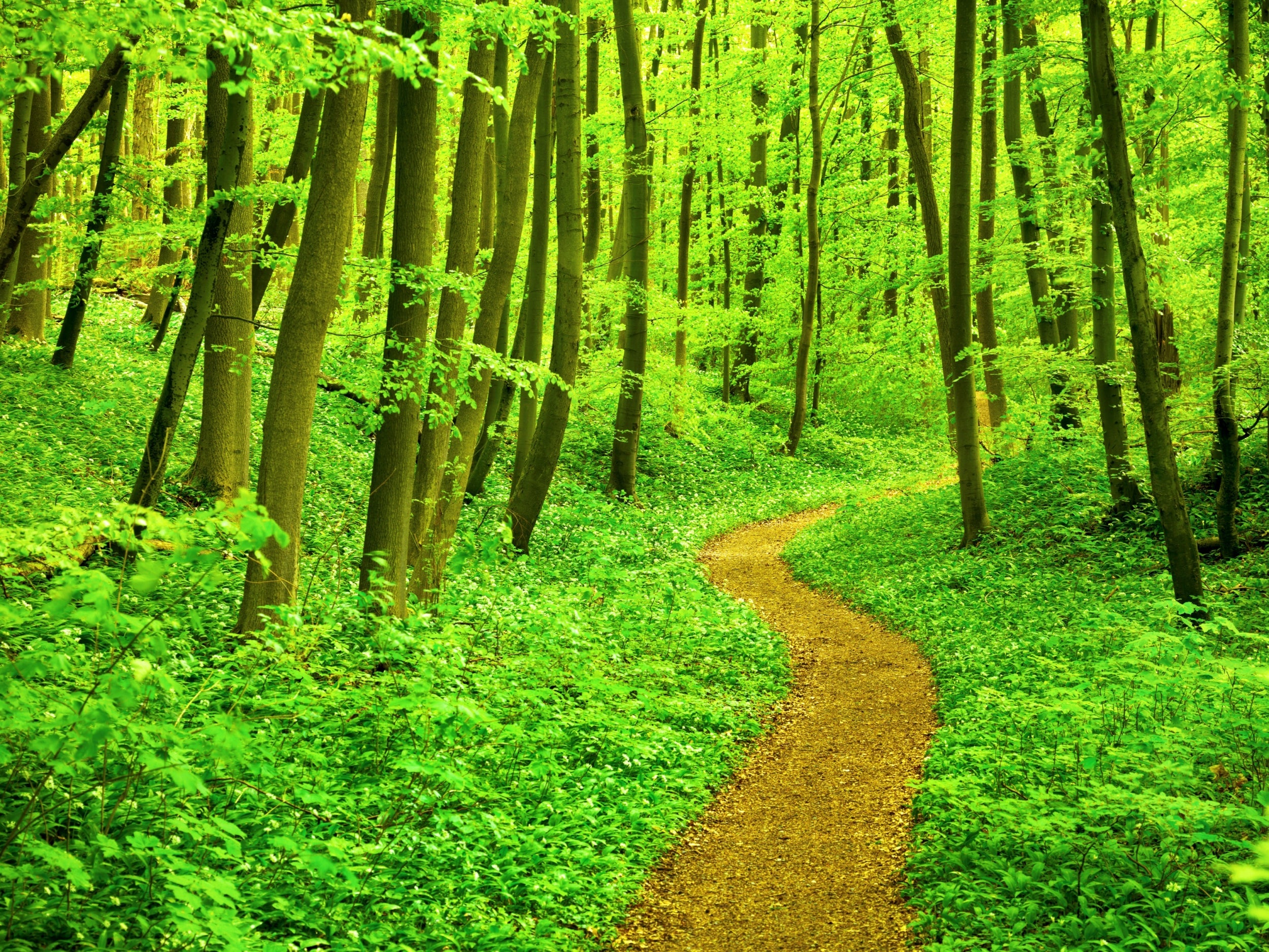 As we begin to get used to quarantine, hold on to the small things