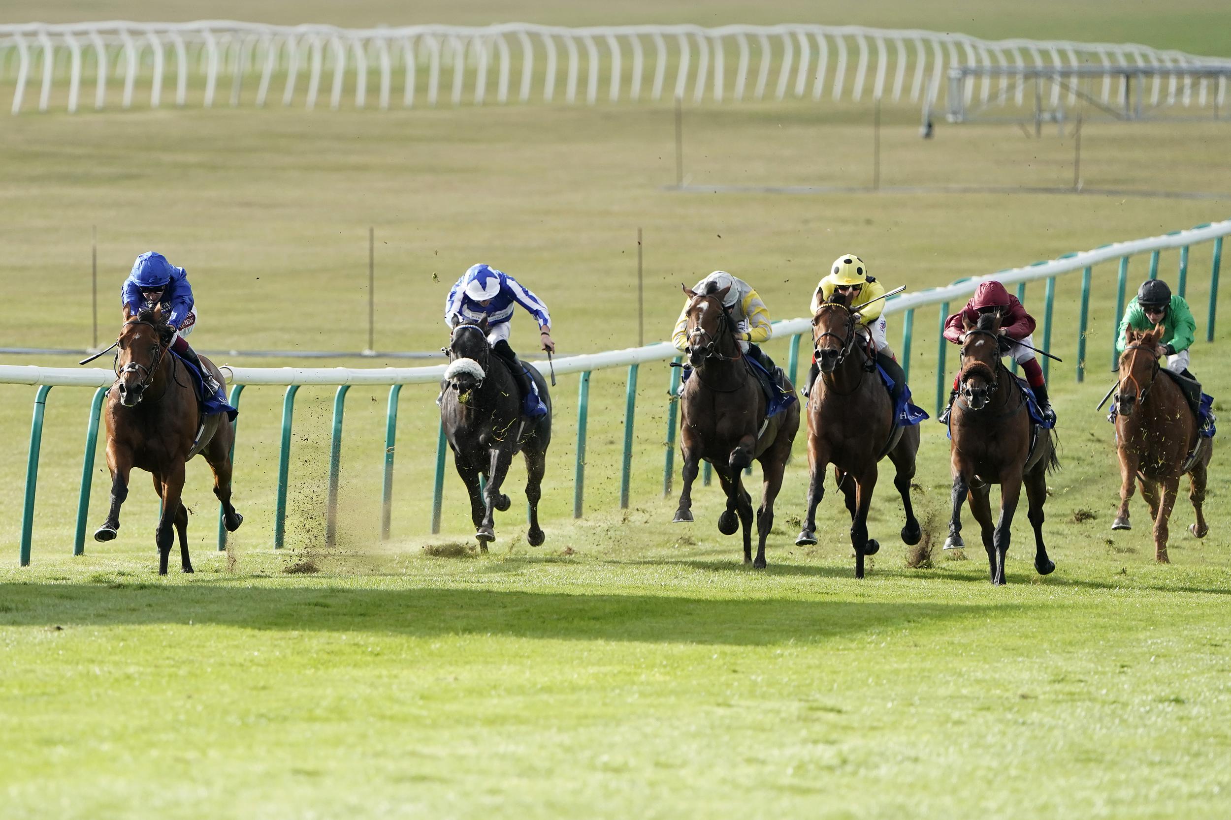 All horseracing in Britain is currently suspended (Getty)