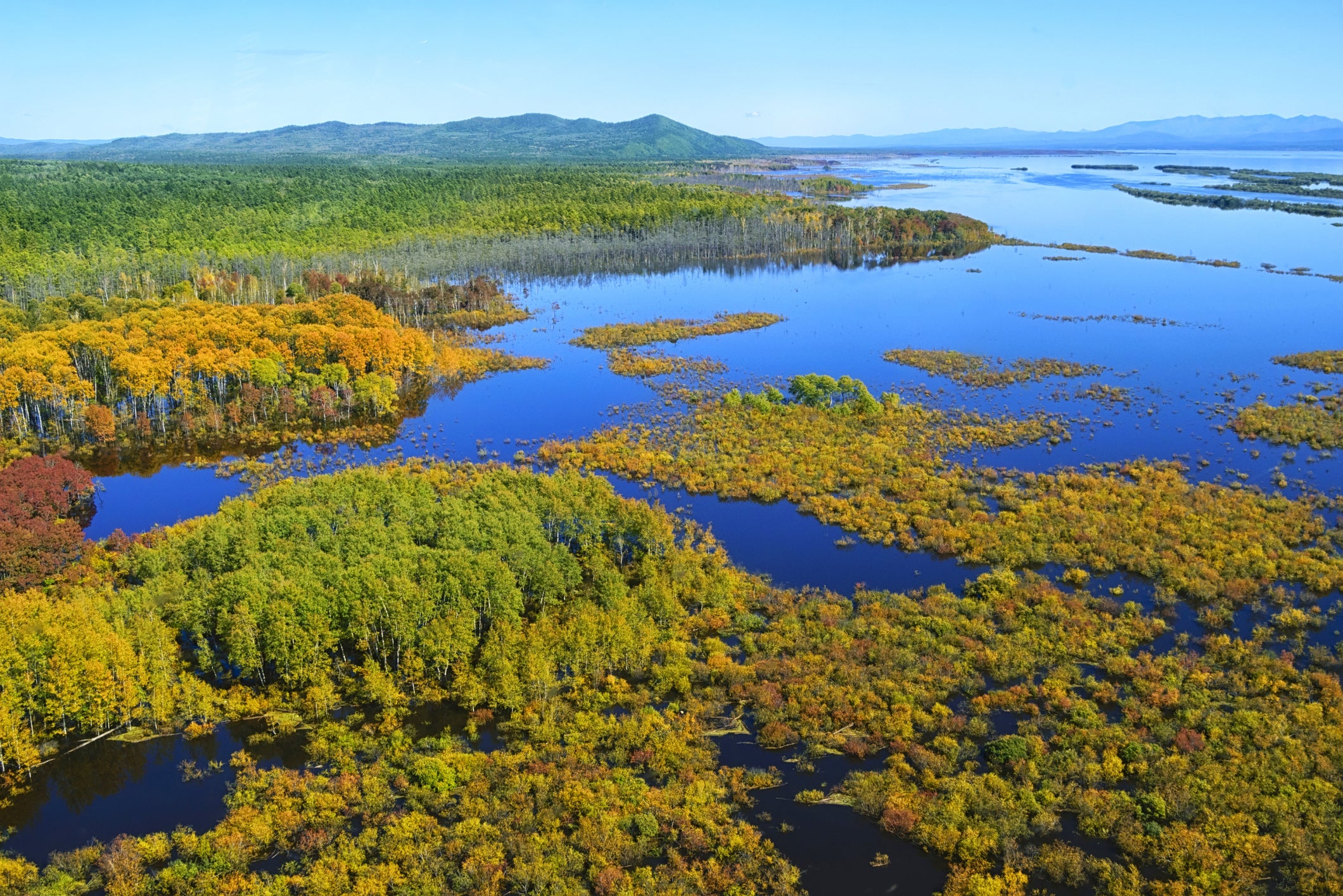 Amur river and the Sikhote-Alin mountain ridge, in the Khabarovsk region