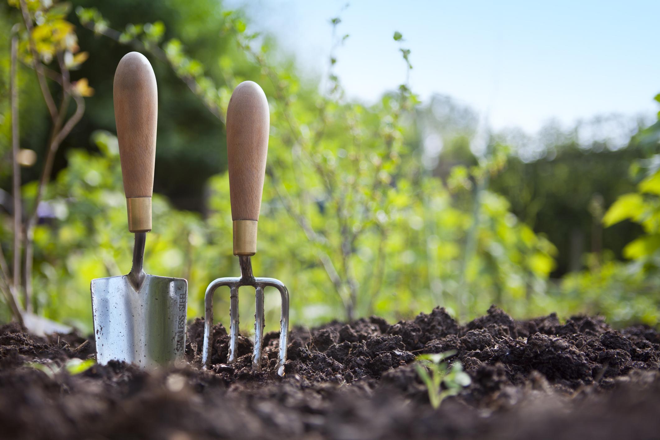 Pick up ideas, start a new project, shop for new furniture and keep the kids entertained with garden toys