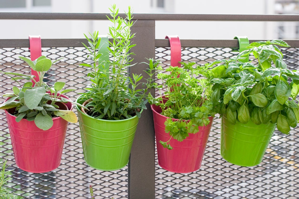 No matter how big or small your space, take advantage of the warm weather with a spot of gardening (Getty)