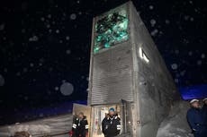 The 'Doomsday' seed vault protecting the world's crops amid catastrophes like coronavirus