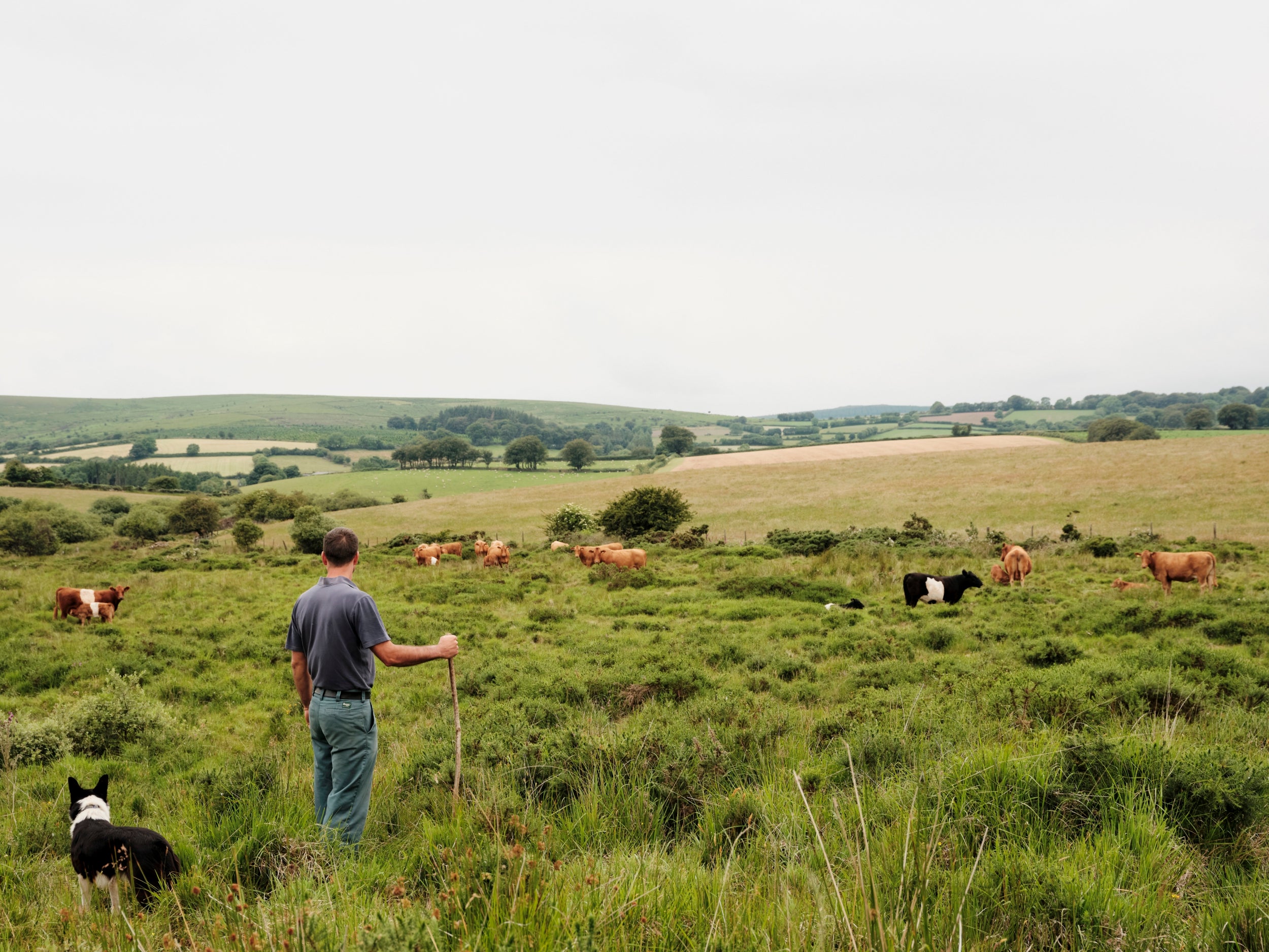 Wild Farmer Oliver Edwards of The French Farm