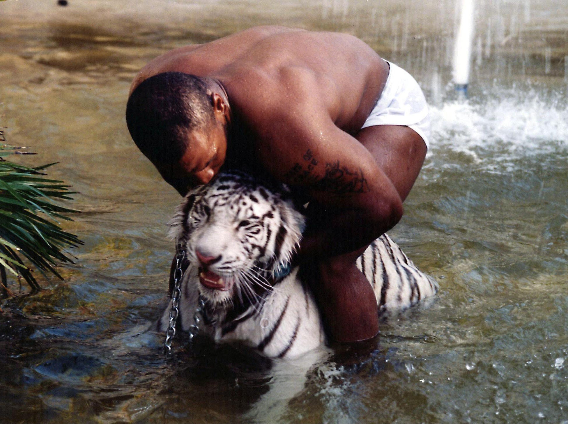 Tyson cuddles his tiger