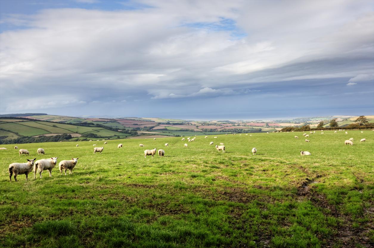 Nothing beats the open space of the British countryside