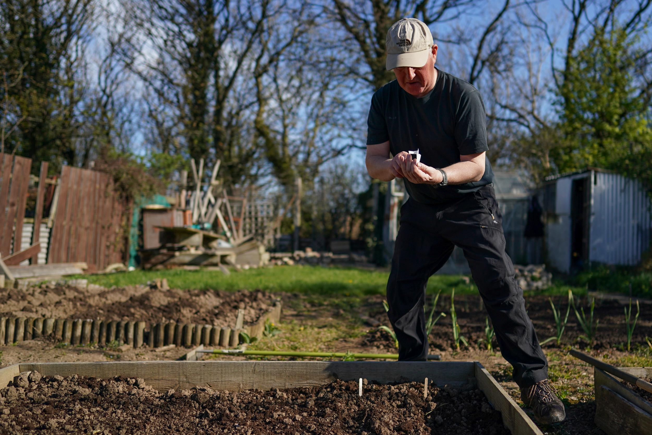 Ian Sproxton in his allotment. Seeds have a shelf life and are best sown fresh (Getty)