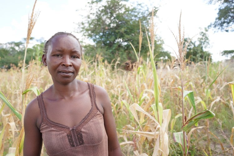 Rebecca’s maize crop is already struggling due to drought