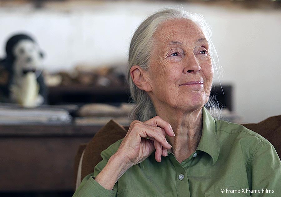 Dr Jane Goodall in Gombe, Tanzania (The Jane Goodall Institute)