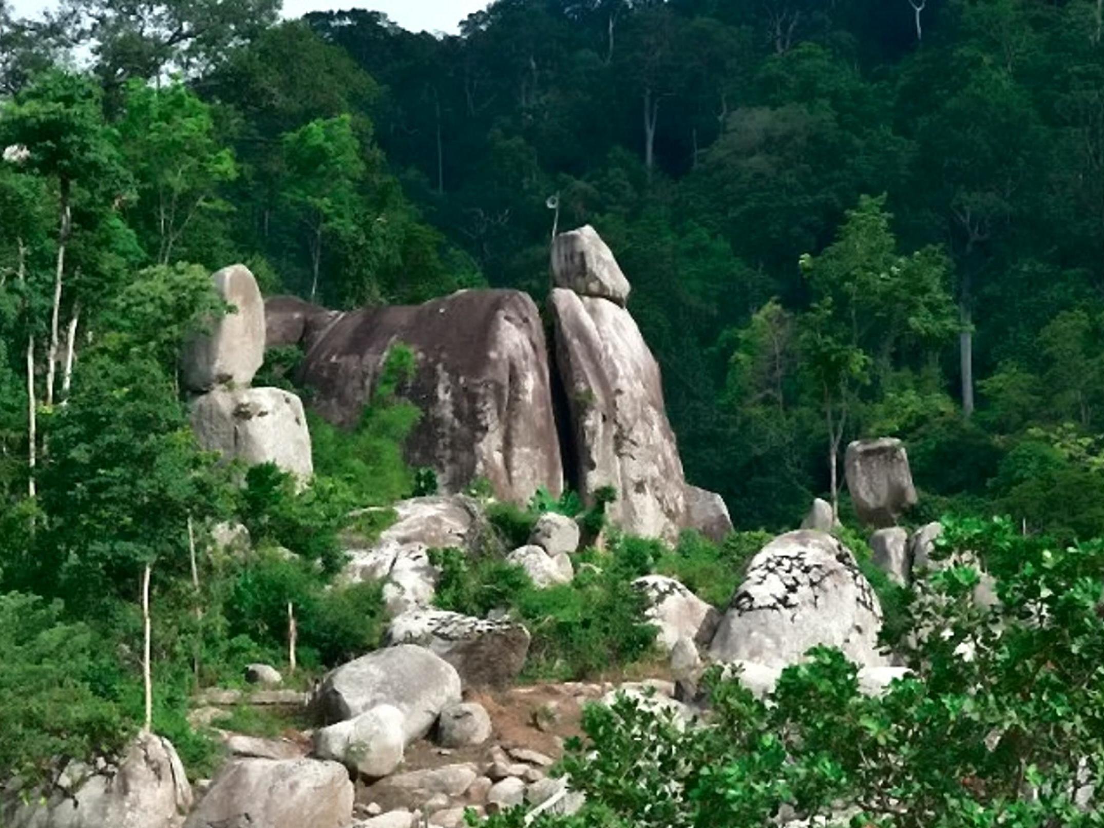 Habitat at Phnom Chi, where Cyrtodactylus phnomchiensis was discovered. (Thy Neang/SWNS)