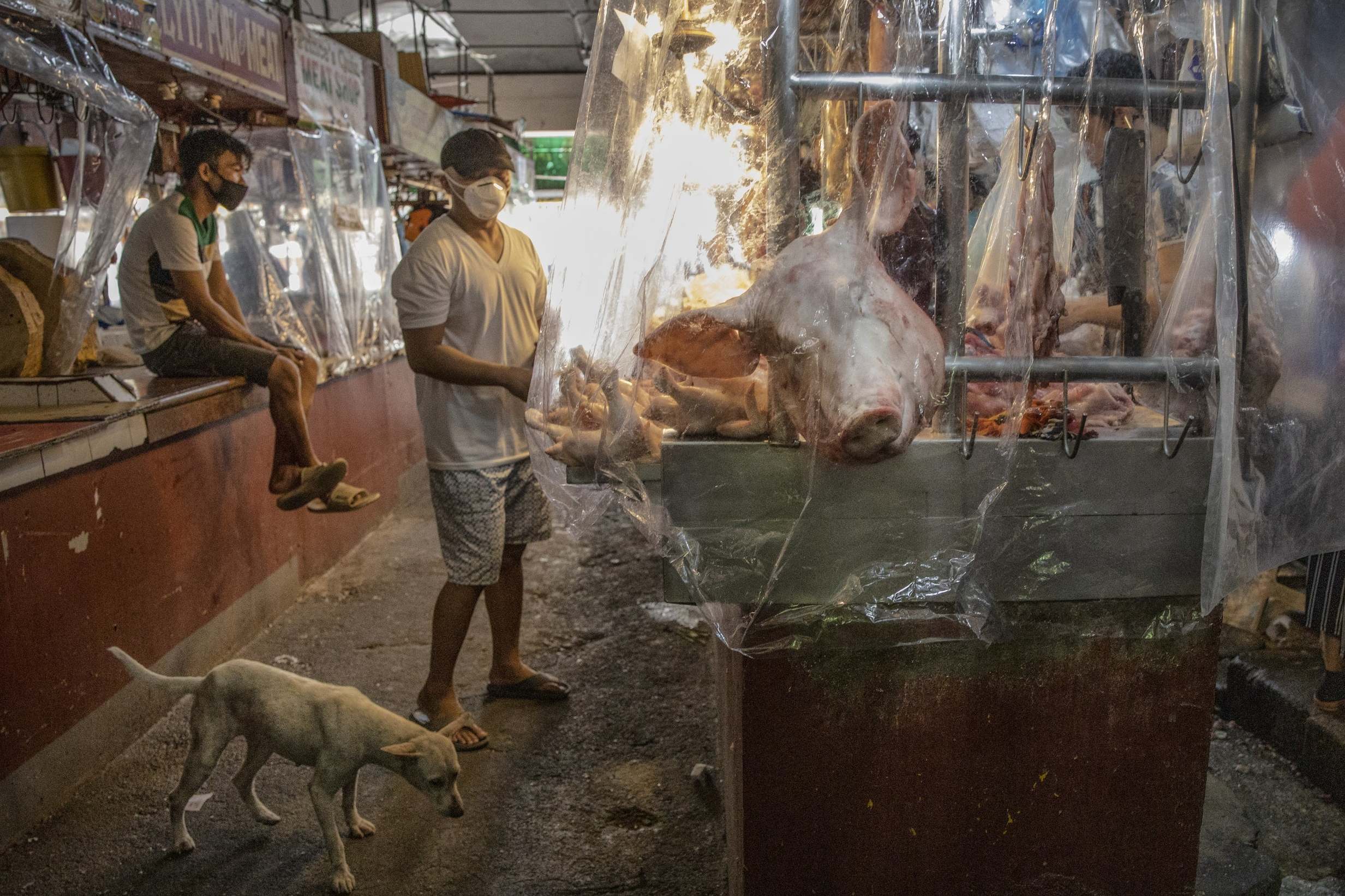 Coronavirus: WHO urges China to close ‘dangerous’ wet market as stalls in Wuhan begin to reopen