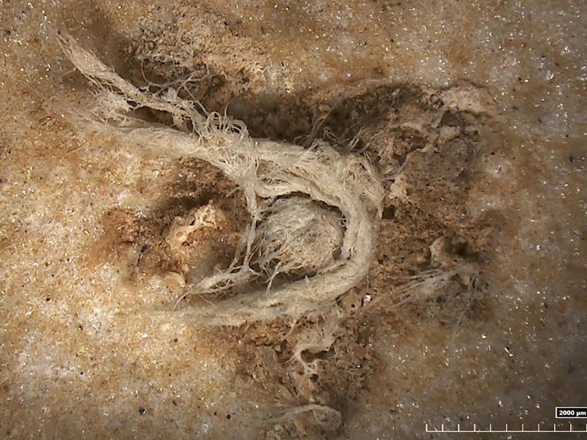 A 50,000-year-old piece of string has been found in France