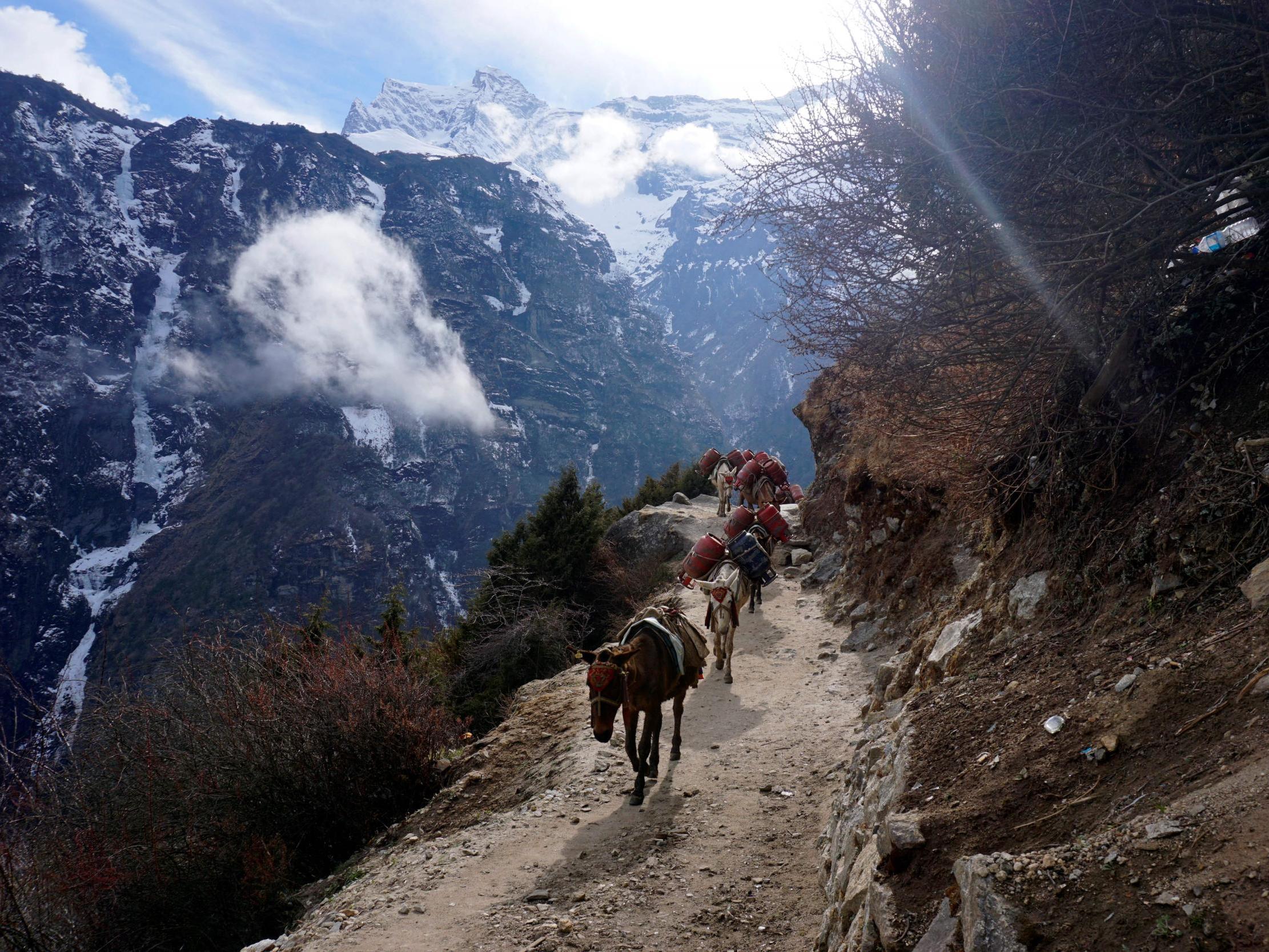 Mountain tourism workers could help maintain and improve paths and campsites (AFP/Getty)