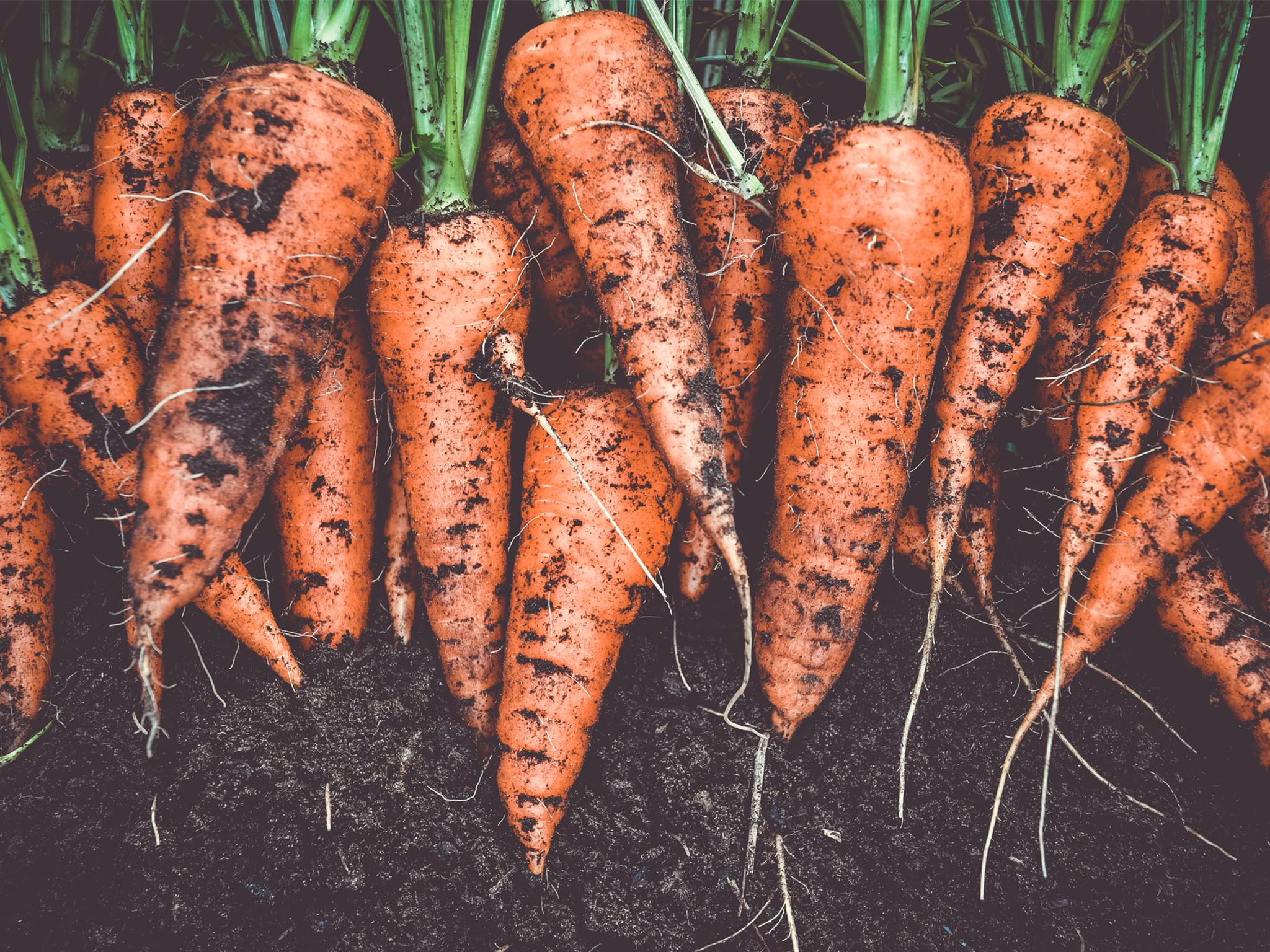 Guy Barter, chief horticulturist for the Royal Horticultural Society, reveals what to plant and where, to see a fruitful harvest