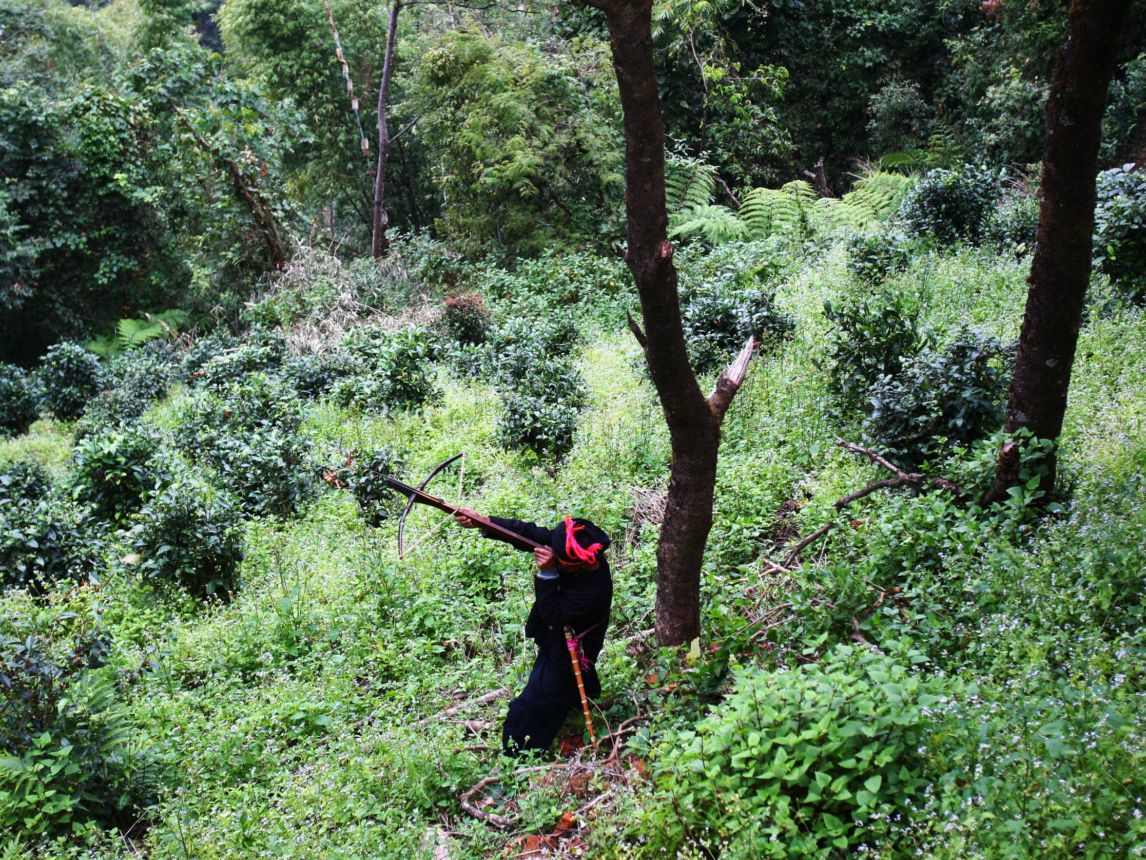 There are populations who have to depend on the exploitation of nature for their livelihoods and alternatives must be provided for these people