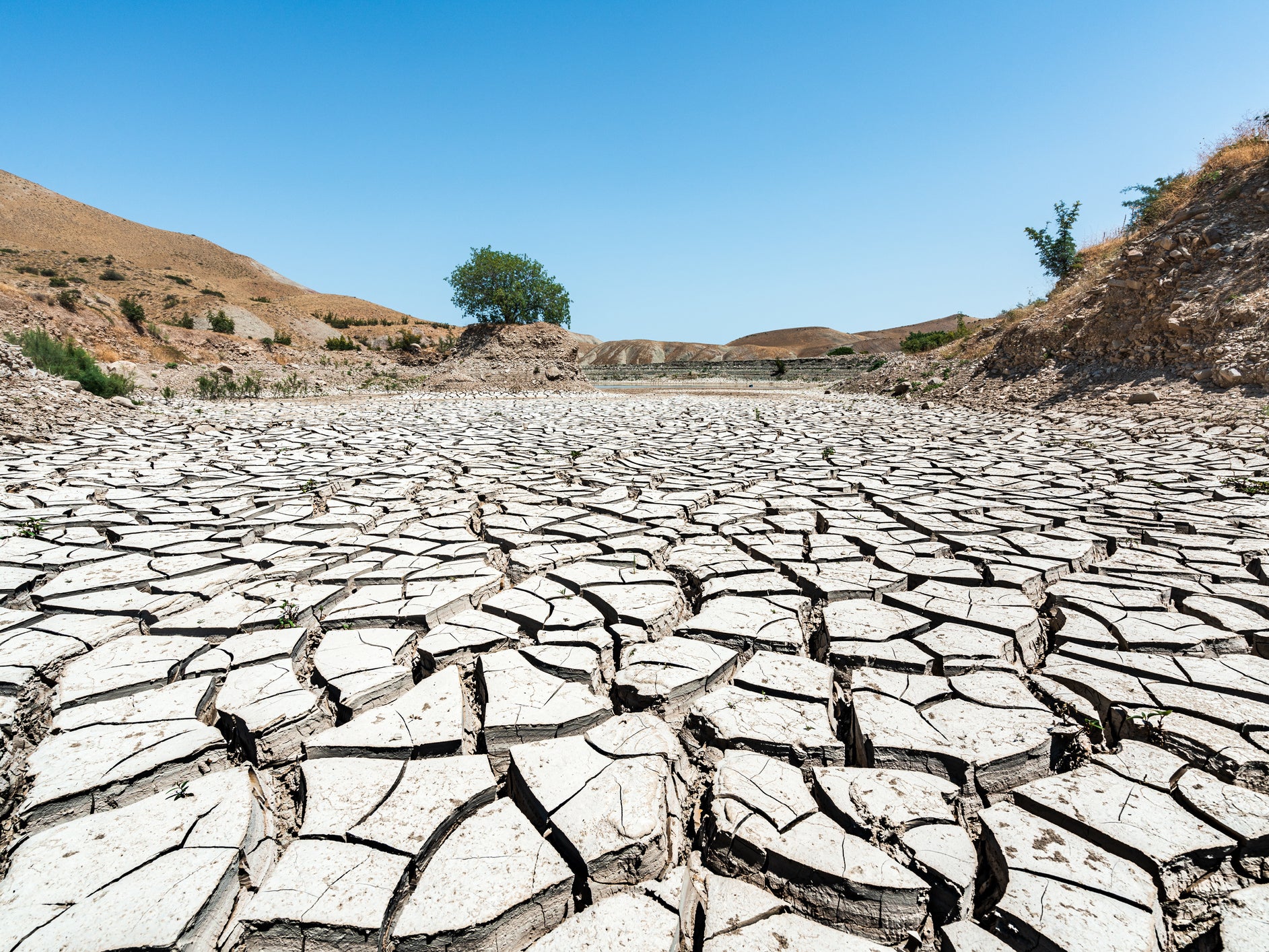 2019 was one of three warmest years in recorded history