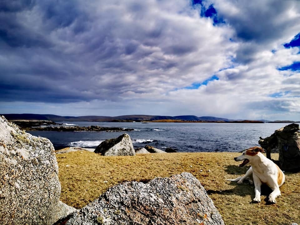 The island is inhabited only by sheep and thousands of birds
