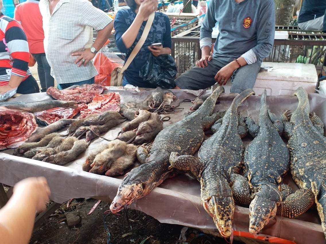 The trade in wild species continues at Tomohon market, Indonesia following the coronavirus pandemic