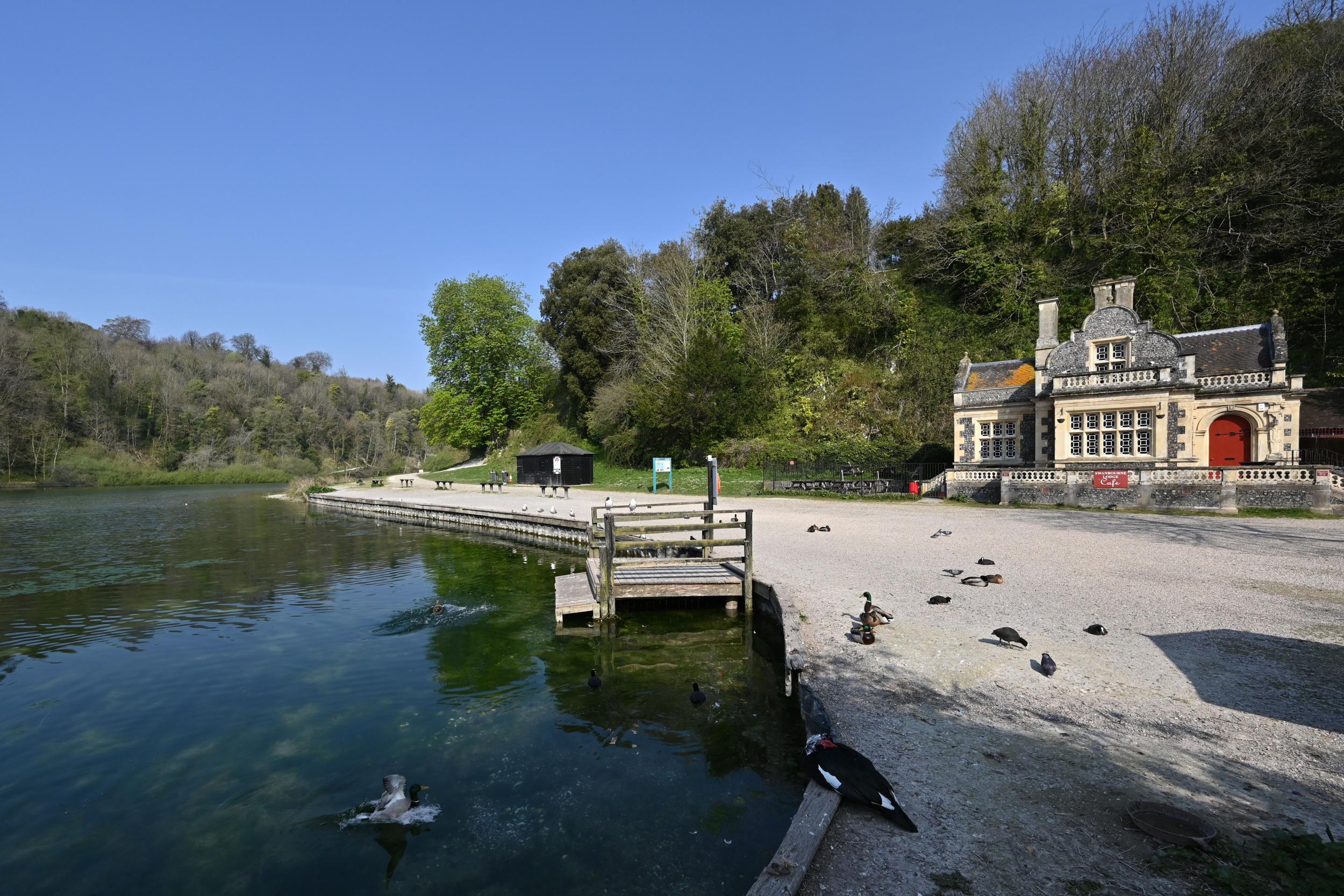 Ducks and waterfowl have the lakeside to themselves at Swanbourse Lake nature reserve in Arundel, southern England as the nationwide lockdown tests the fragility of these sites during the pandemic