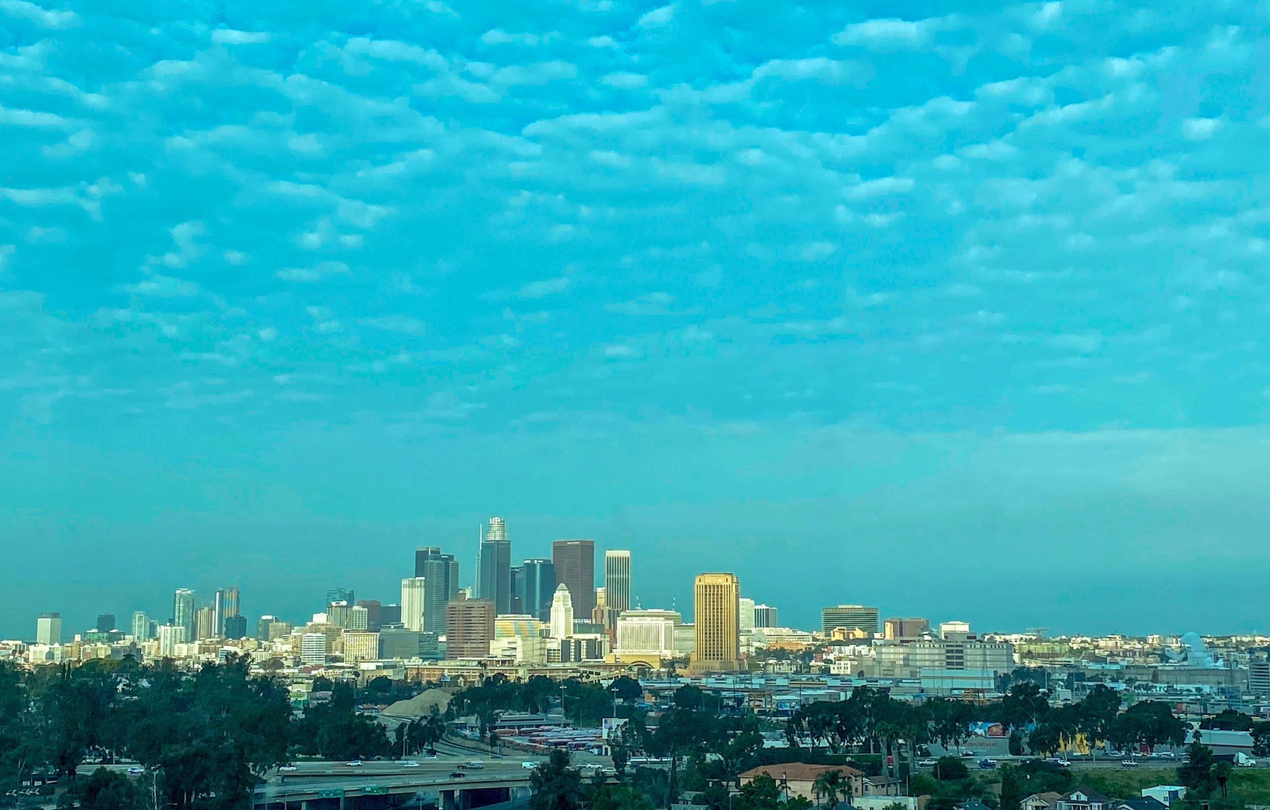 Since lockdown, Los Angeles has seen some of the cleanest air of any major city in the world (AFP via Getty)