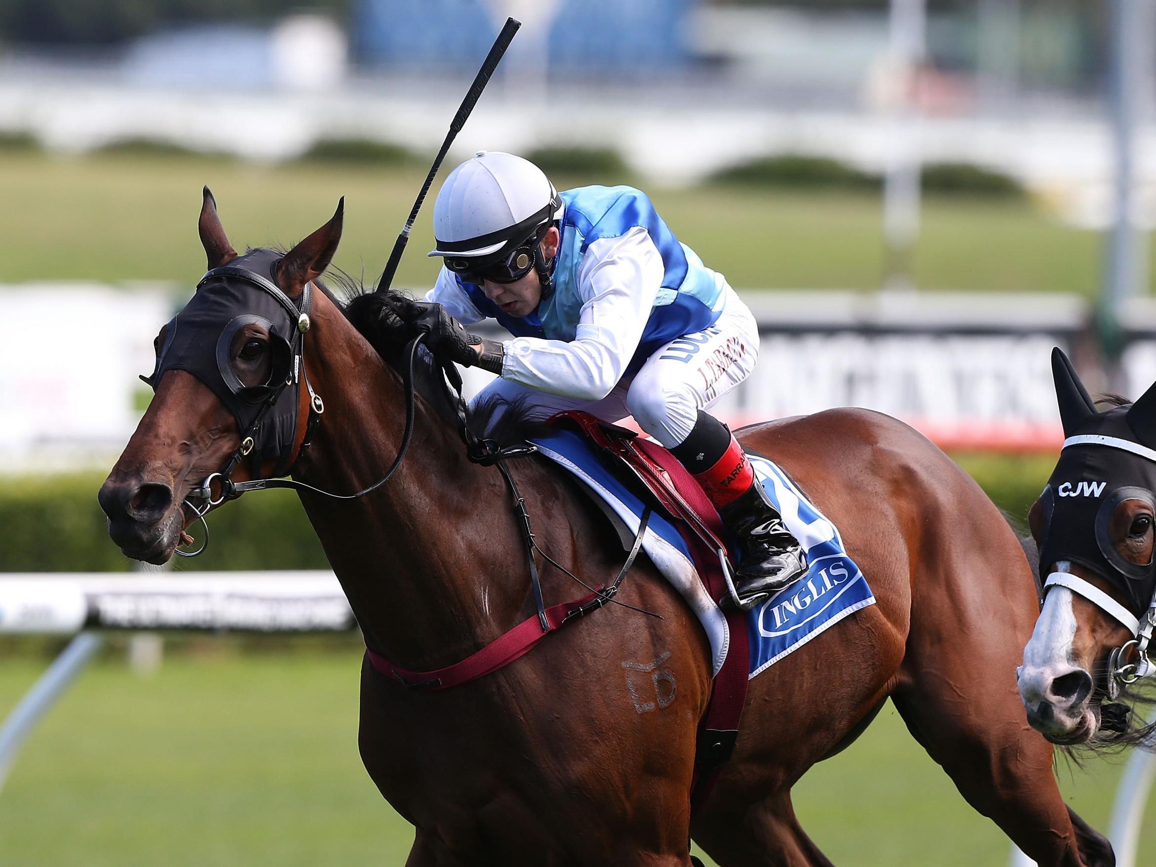 Australian jockey given six-month ban for headbutting fellow rider