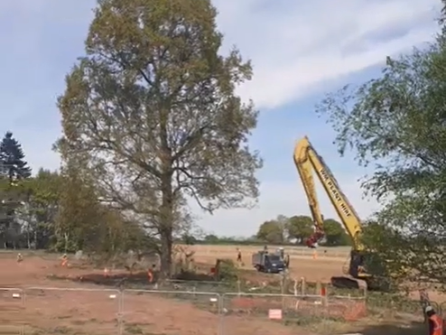 Construction workers clear the route of the HS2 line