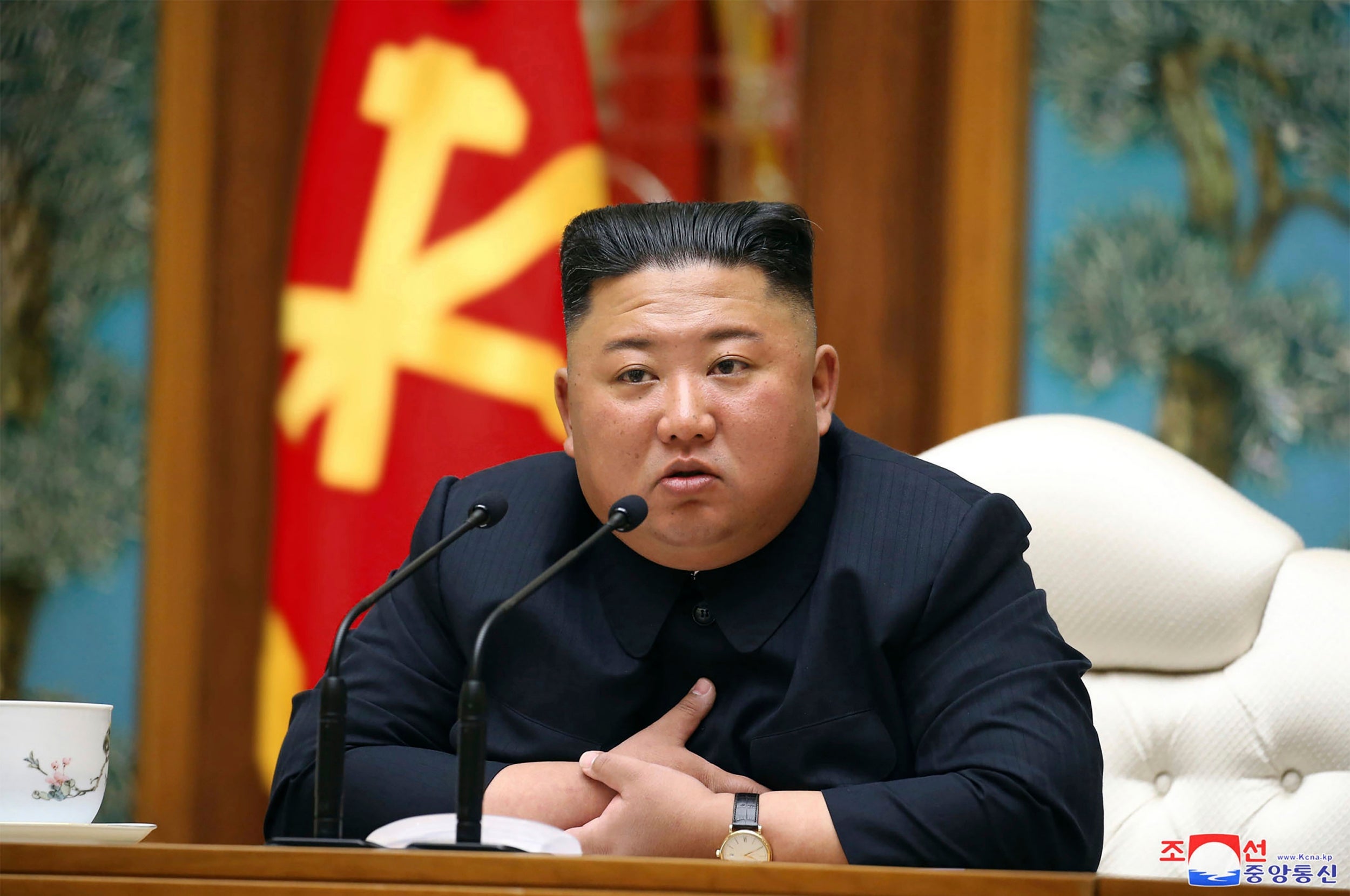 North Korea declares emergency after first suspected Covid-19 case