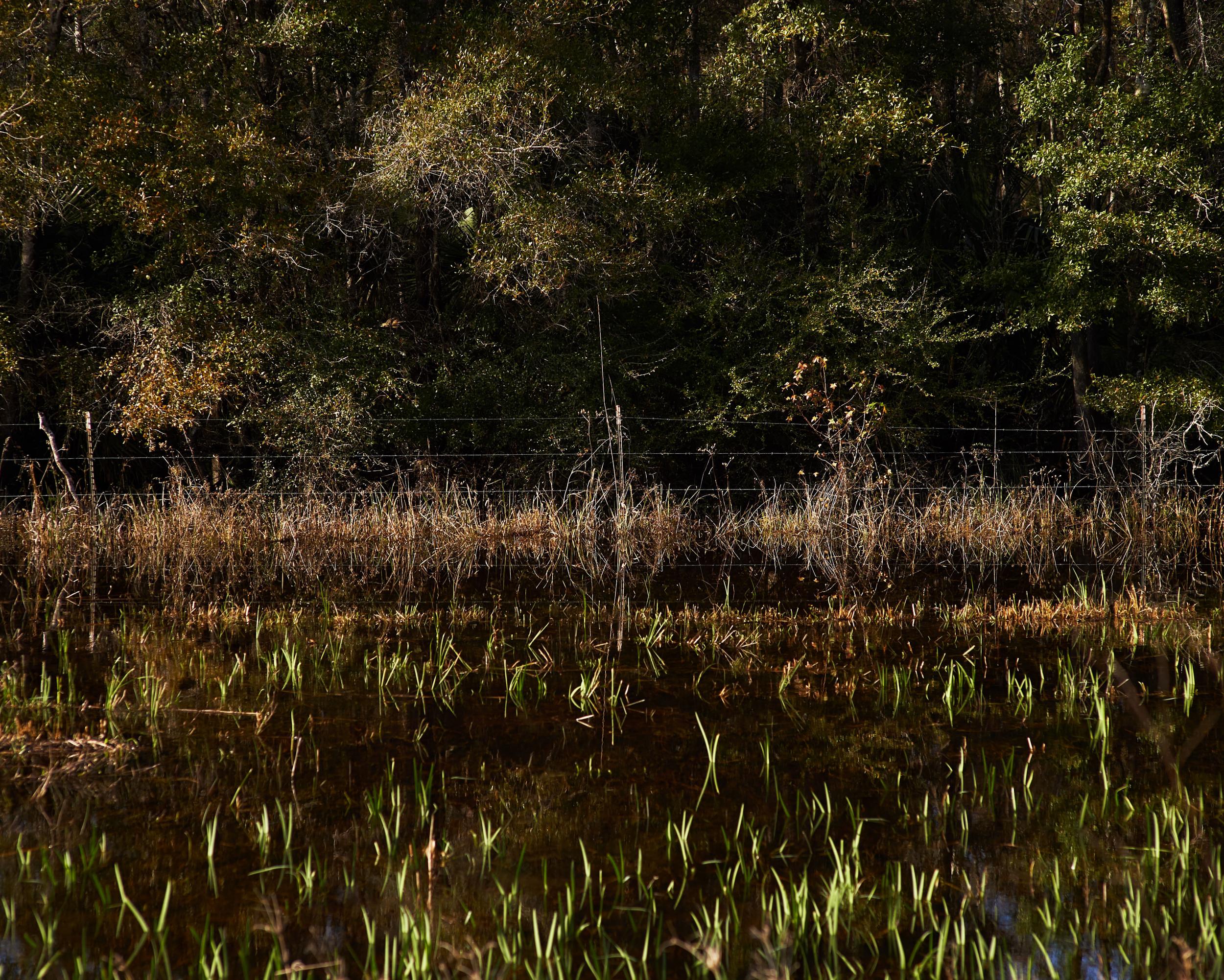 A barbed wire fence straddles the swamps, through which just six people escaped (Washington Post)