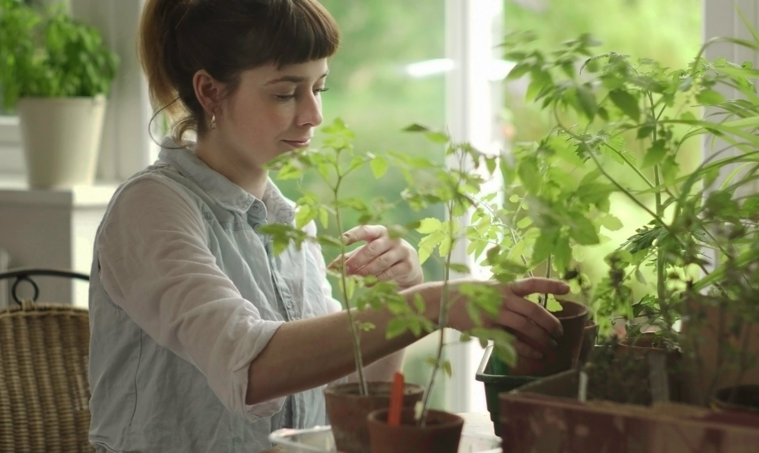 With LED lighting, there are a lot of options