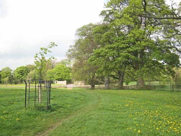 Hardwick Park, near Sedgefield, where the two ducks were attacked by men with sticks