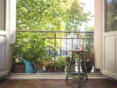 Everything you need to start gardening on a balcony or windowsill