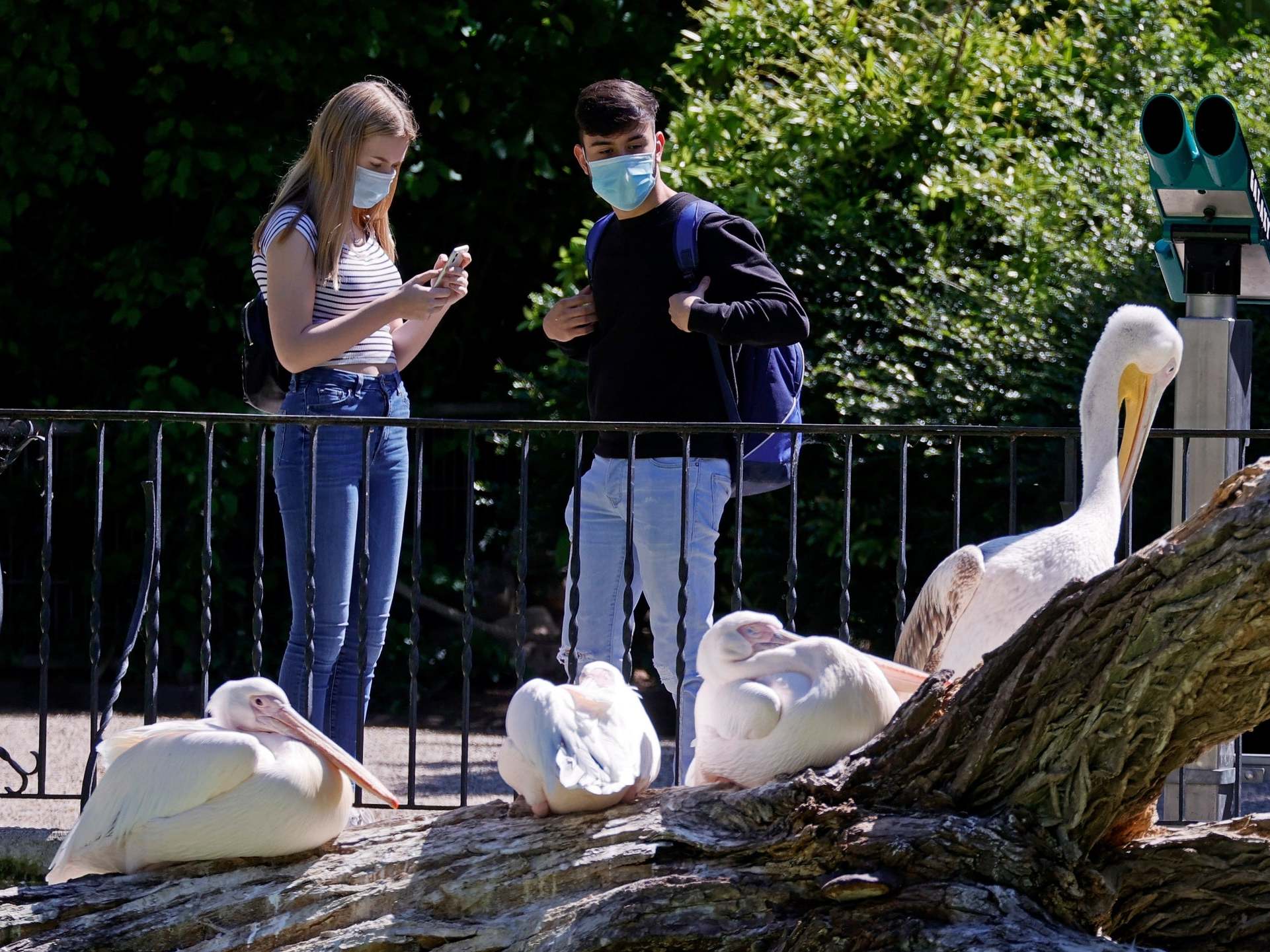 Coronavirus has changed our way of communicating and dating