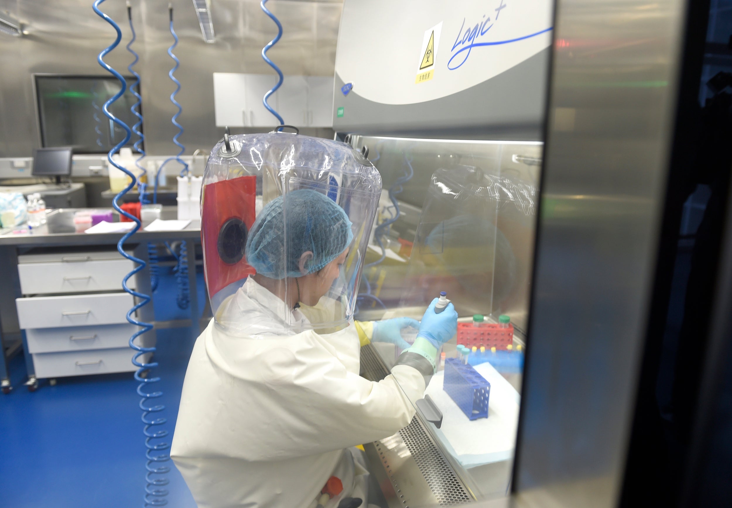 A researcher at the Wuhan Institute of Virology. The Chinese are still refusing to share samples with scientists abroad